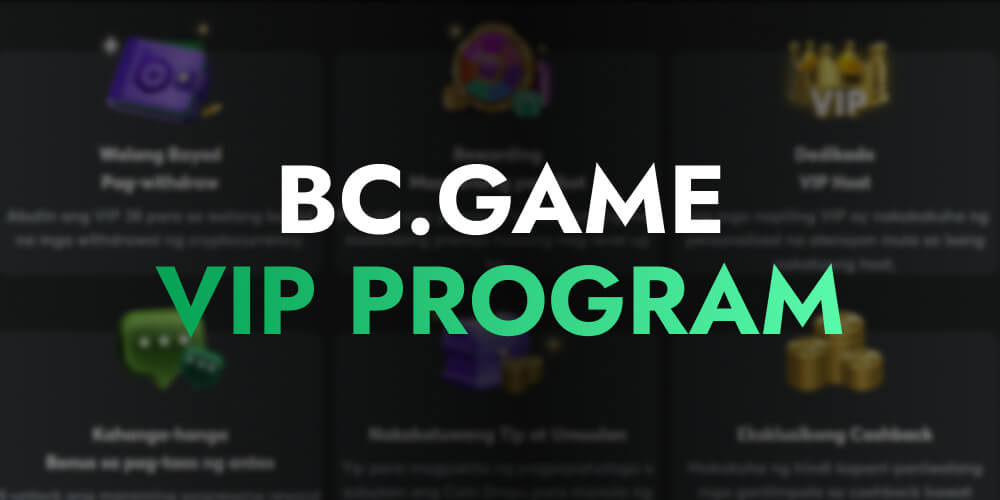 vip program bonus
